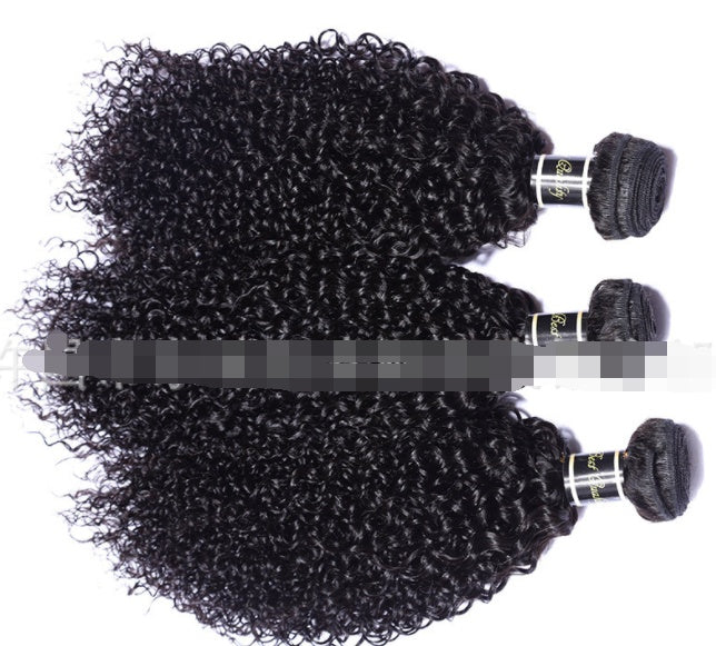 Live Export Human Hair Wigs – Malaysian Hair Extensions & Weave Bundles for Global Shipping - HZ Mobile