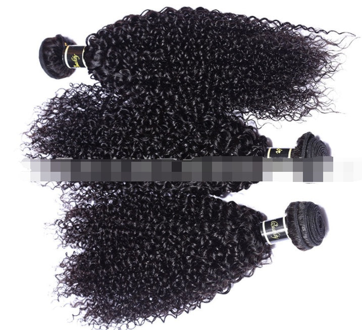 Live Export Human Hair Wigs – Malaysian Hair Extensions & Weave Bundles for Global Shipping - HZ Mobile