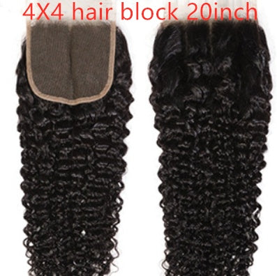 Live Export Human Hair Wigs – Malaysian Hair Extensions & Weave Bundles for Global Shipping - HZ Mobile
