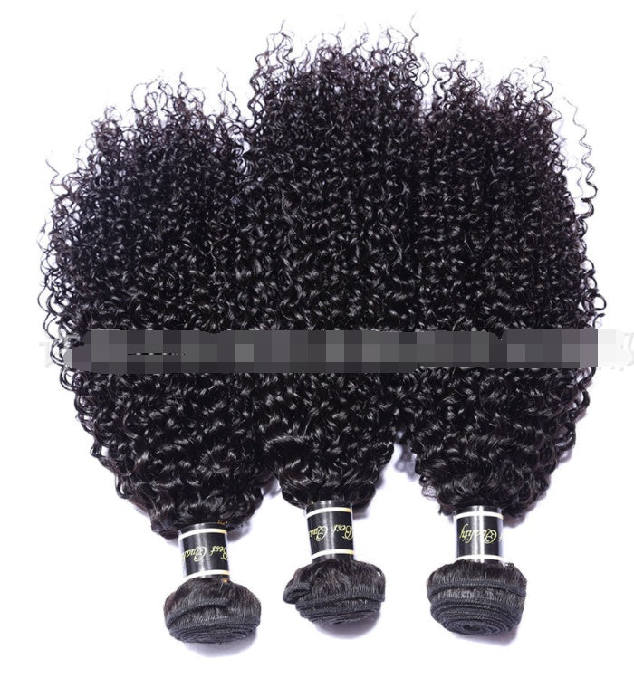Live Export Human Hair Wigs – Malaysian Hair Extensions & Weave Bundles for Global Shipping - HZ Mobile