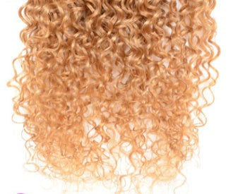 Real Human Hair Extensions – Gradient Color Wig & Clip-In Hair Extensions for Natural Styling - HZ Mobile