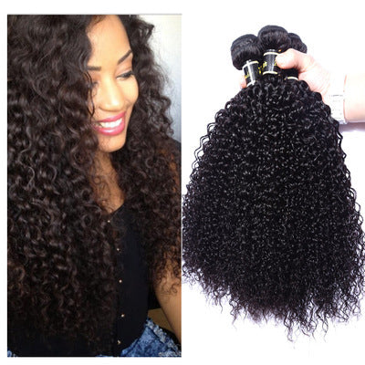 Live Export Human Hair Wigs – Malaysian Hair Extensions & Weave Bundles for Global Shipping - HZ Mobile