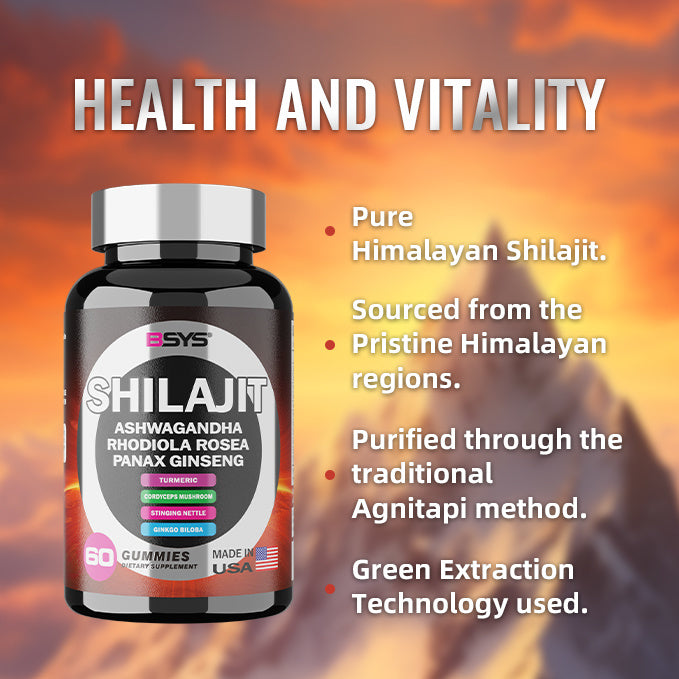 BSYS 8-in-1 Shilajit Gummies – 60 Count Energy, Vitality & Wellness Supplement - HZ Mobile