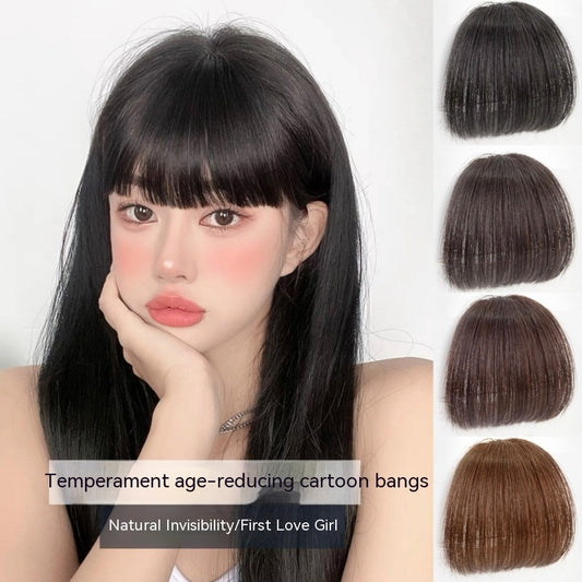 Natural Straight Bangs Hairpiece – Seamless Invisible Clip-In Fringe Wig - HZ Mobile