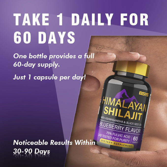 BSYS Shilajit Gummies – 60 Count Natural Energy, Stamina & Vitality Supplement - HZ Mobile