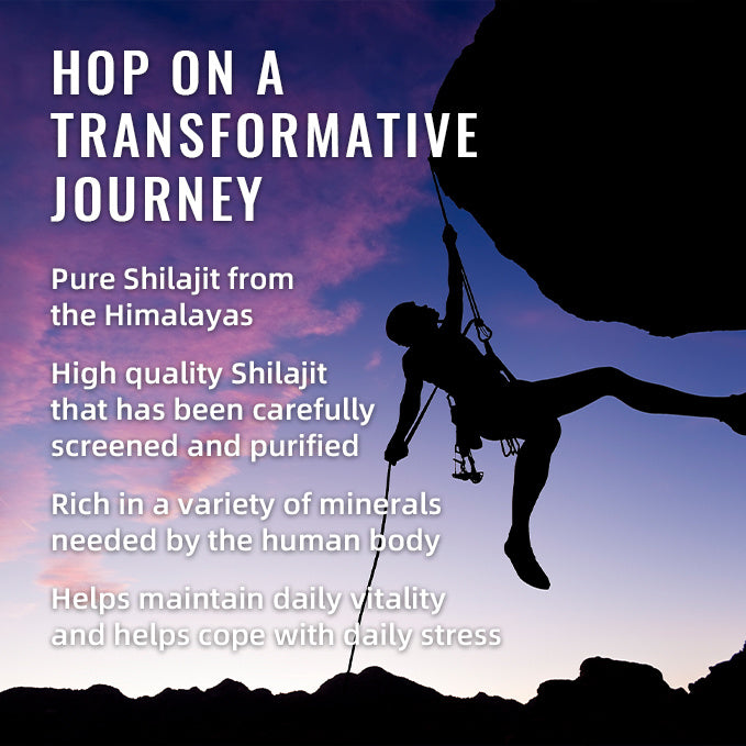 BSYS Shilajit Gummies – 60 Count Natural Energy, Stamina & Vitality Supplement - HZ Mobile